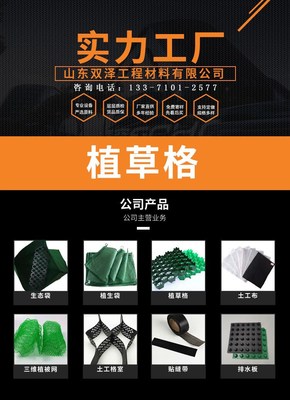 50厚抗压植草格HDPE 承重能力强施工简单 消防车道停车场绿化用