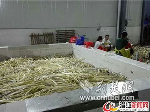 潜江一水产加工厂停水危机，消防紧急运送30吨水解困