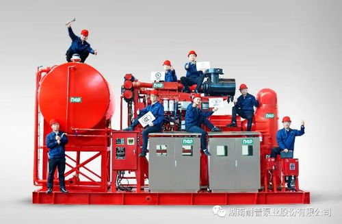 耐普泵业产品助力中国海洋装备建设——中海油陆丰油田群区域开发项目柴油机消防泵组顺利交付